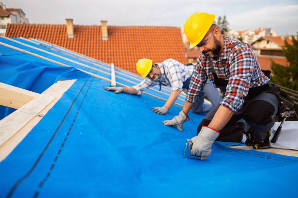 Best Roof Ventilation Installation  in Alliae, NC